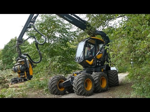 Ponsse Scorpion King | Cutting Down Trees | Forestry Equipment | Skovbygaard