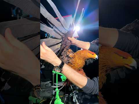 video-thumbnail