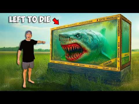 Buying an Abandoned Shark and Transforming Its Home!