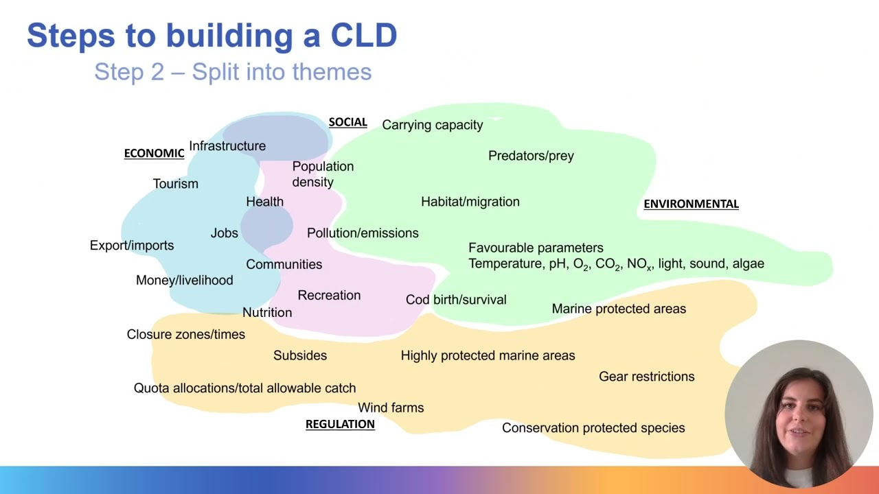Causal Loop Diagram - part 1