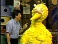 Classic Sesame Street Big Bird Learns About Love