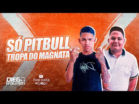 Mc Rei Feat. Dj Diego Evolution - Só Pitbull (Tropa do Magnata) (Exclusiva) 2020