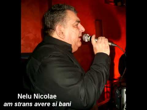 Nelu NicolaeBand  - Am strans avere si bani