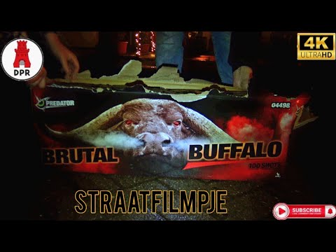 Brutal Buffalo