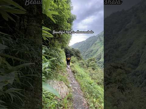 Beautiful trek in #dharamshala #hiking #advanture #himchalpradesh #monsoon #trending #viralvideo