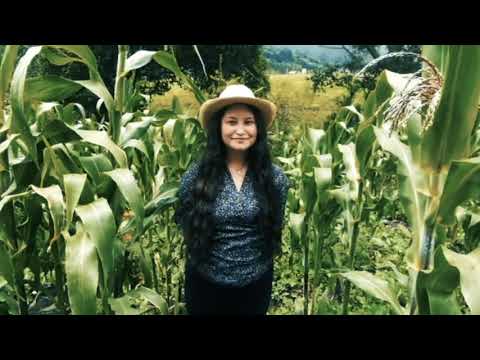 La pradera del Rütli, la cuna de Suiza