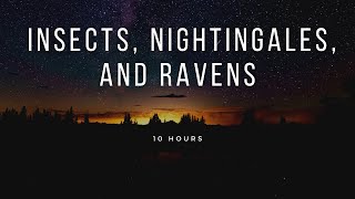 Download lagu Relaxing Nighttime Sounds of Insects, Nightingale, and Ravens. Milky Way, Rural Setting Video | 10H mp3