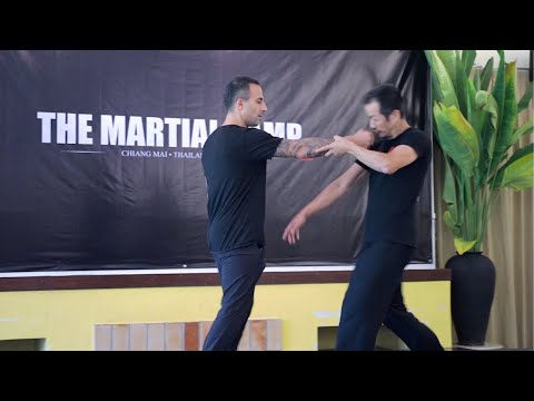 THE MARTIAL CAMP 2020 Video Highlights  • Taiji Quan | Wing Chun | 5 Ancestors Fist | Prana Dynamics