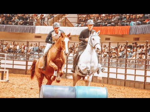 Mustang Magic Freestyle with Four Horses (Dangerous by Royale Deluxe)