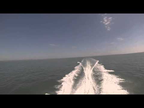 DJ KAYZ FEAT RIMK JUL DIESELLE - JNOUNÉ