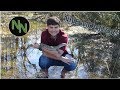 TheNatureNerd Nile Monitor Swimming