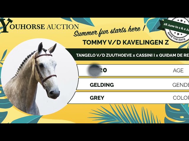 Tommy vd Kavelingen Z homevideo