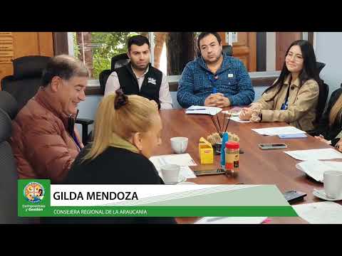 REUNIÓN DE TRABAJO-DIRECTOR DEL SERVICIO DE SALUD ARAUCANÍA SUR-CONCEJERA REGIONAL,GILDA MENDOZA2026