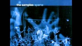 05 Did You Ever Look So Nice Live The Samples