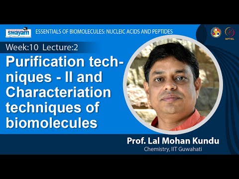 Essentials of Biomolecules Nucleic Acids and Peptides