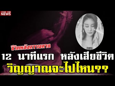 ชีวิตหลังความตาย 12 นาทีแรก หลังจากเสียชีวิต วิญญาณจะไปไหน?