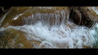 Download lagu Relaksasi Suara Alam Kicauan Burung Didalam Hutan & Gemercik Suara Air mp3