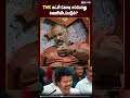 TVK கட்சி கோடி எப்போது வெளியிடப்படும் Ch