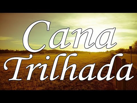 Cana Trilhada - CCB Avulsos
