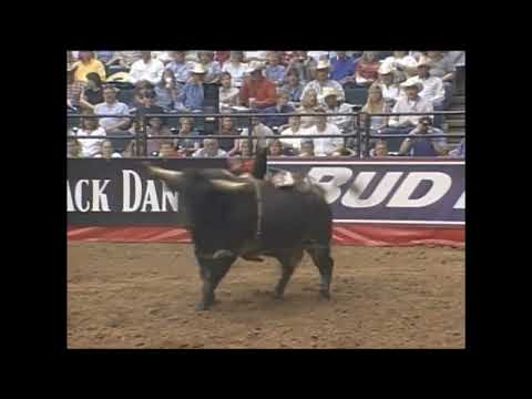 Western Hauler Express bucks Gilbert Carrillo - 99 PBR Houston
