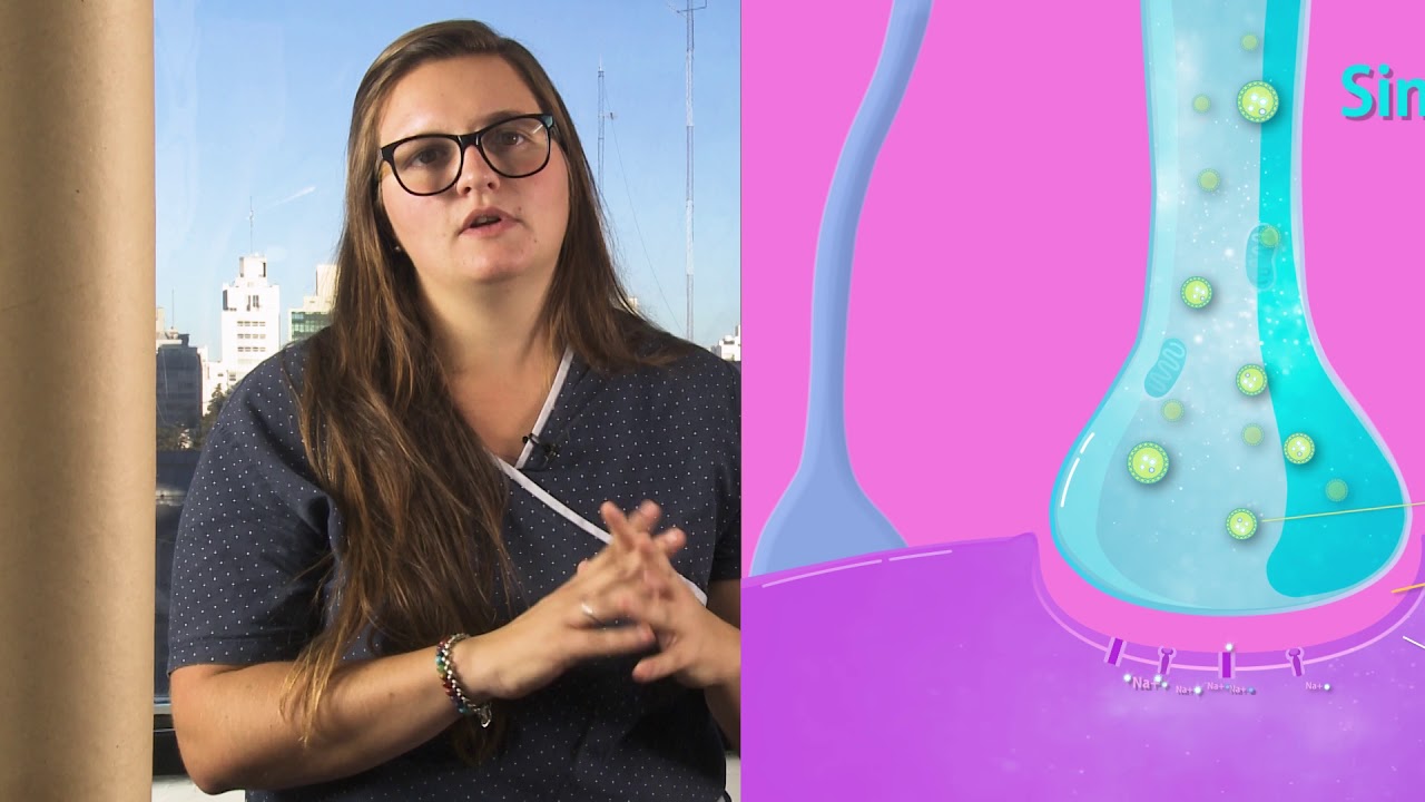 FISIOLOGÍA: Sistema Nervioso. PARTE II