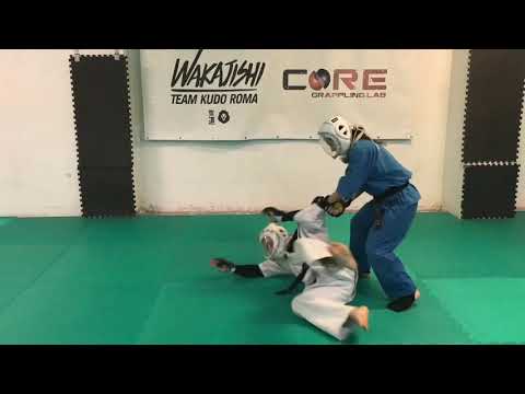 Kudo Techniques