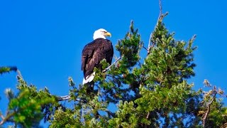 Jake Reese - Day to Feel Alive (HD) (1 of 17)