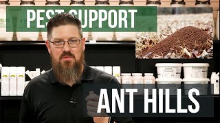 How do I get Rid of Ant Hills? | Pest Support