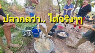ความทรงจำ.. ตอนดูดหนองน้ำ  หาปลา