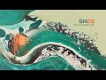 Marc Fabregas Microhouse Post Sunwaves 2022 Home Set Vinyl