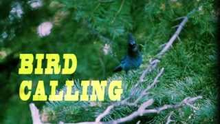 Wilderness Tips with Brett Dennen - Bird Calling