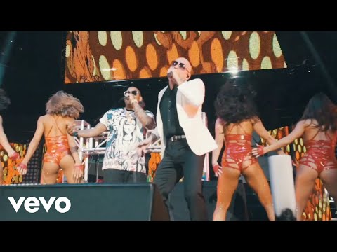 DJ Kass, Pitbull - Scooby Doo Pa Pa (Remix) [LIVE]