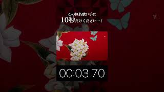 - 【歌ってみた】睨めっ娘 / covered by 湖月燕