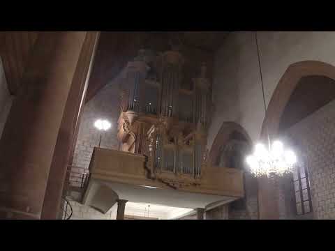 Franz Tunder - Komm, heiliger Geist, Herre Gott | Weronika Paine, organ (live)
