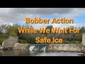 Video Thumbnail for Bobber Action While We Wait For Safe Ice.