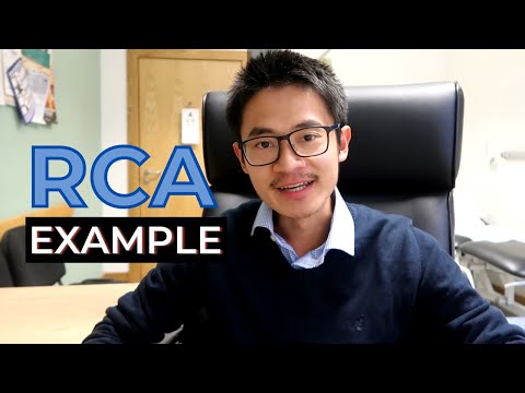 RCA Case Demonstration (Excerpt)