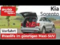 View 21 Kia Sorento 2020 Kofferraum