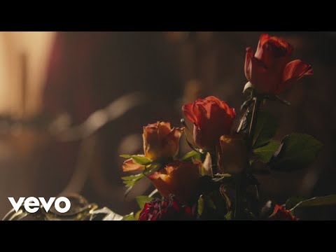 Video thumbnail for honey