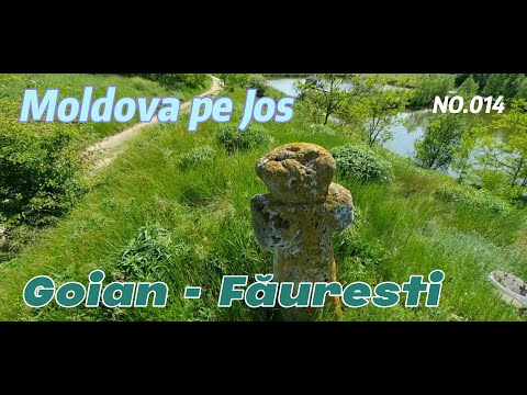 Moldova pe jos Goian - Făurești #014