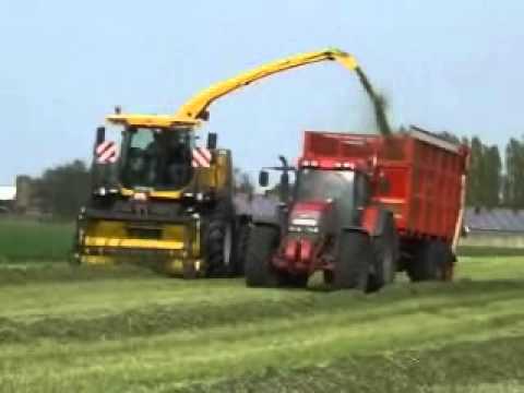 quintyn: Gras hakselen.