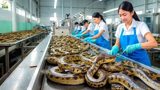 China Snake Farm - How Farmer Make 1 Billion USD from 3 Million Snake Every Year? Chinese Farming