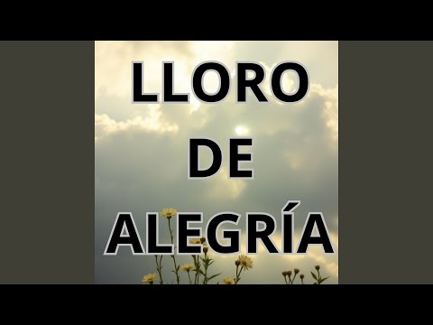 LLORO DE ALEGRÍA (Remix)