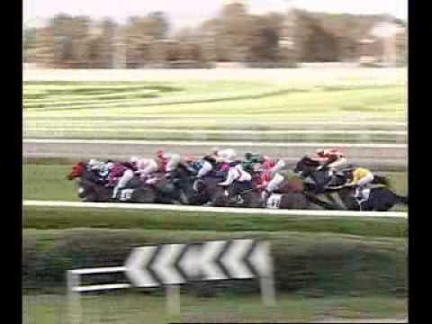 Premio Tudini 2010 (GR 3)