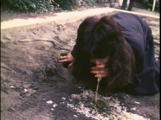 Gerorisuto (1987)