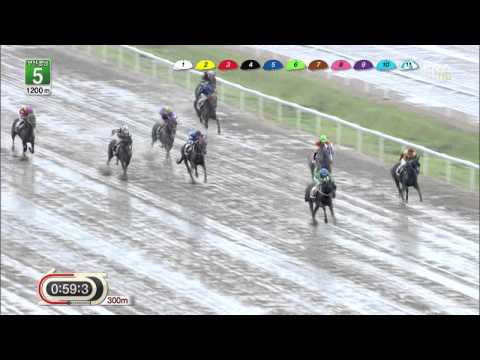 Busan Race 5 - August 23, 2013 - Man Star (Darryll Holland)