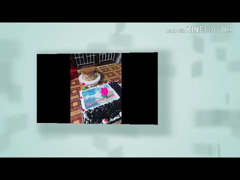 Happy birthday adoos