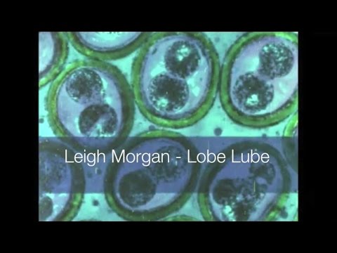 Leigh Morgan - Lobe Lube