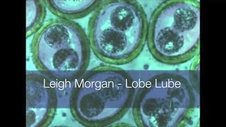Leigh Morgan - Lobe Lube