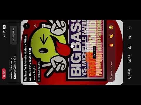 Big Bass Vs Michelle Narine - WhatYou Do (Lewis Taylor Edit)