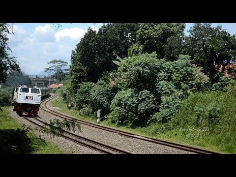Semua Kereta Api Ngebut di Jalur Ini, Relnya Meliuk Terpasang Semboyan 35 #keretangebut